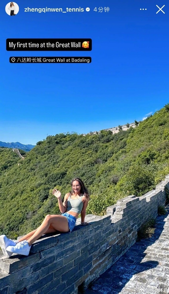 自温布顿网