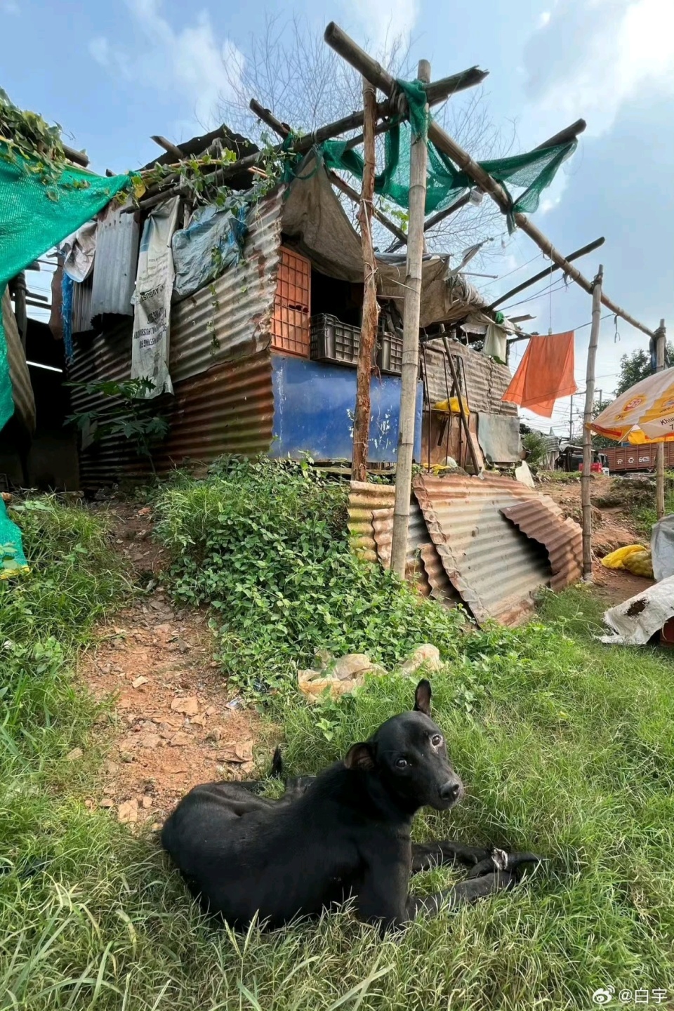 就仿佛置身, 队将在, inews 就仿佛置身, 队将在, inews